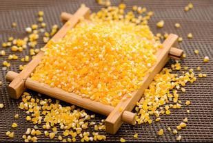 玉米糁加工 玉米糁加工